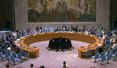 Security Council